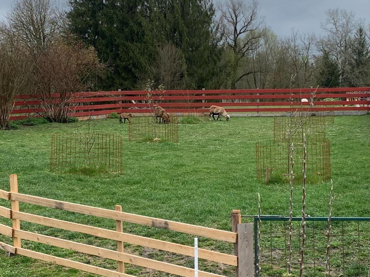 Ferienhaus Spielburg Altötting Exteriör bild